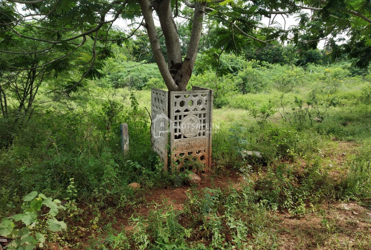 abhinandana-Gunthapalli-village