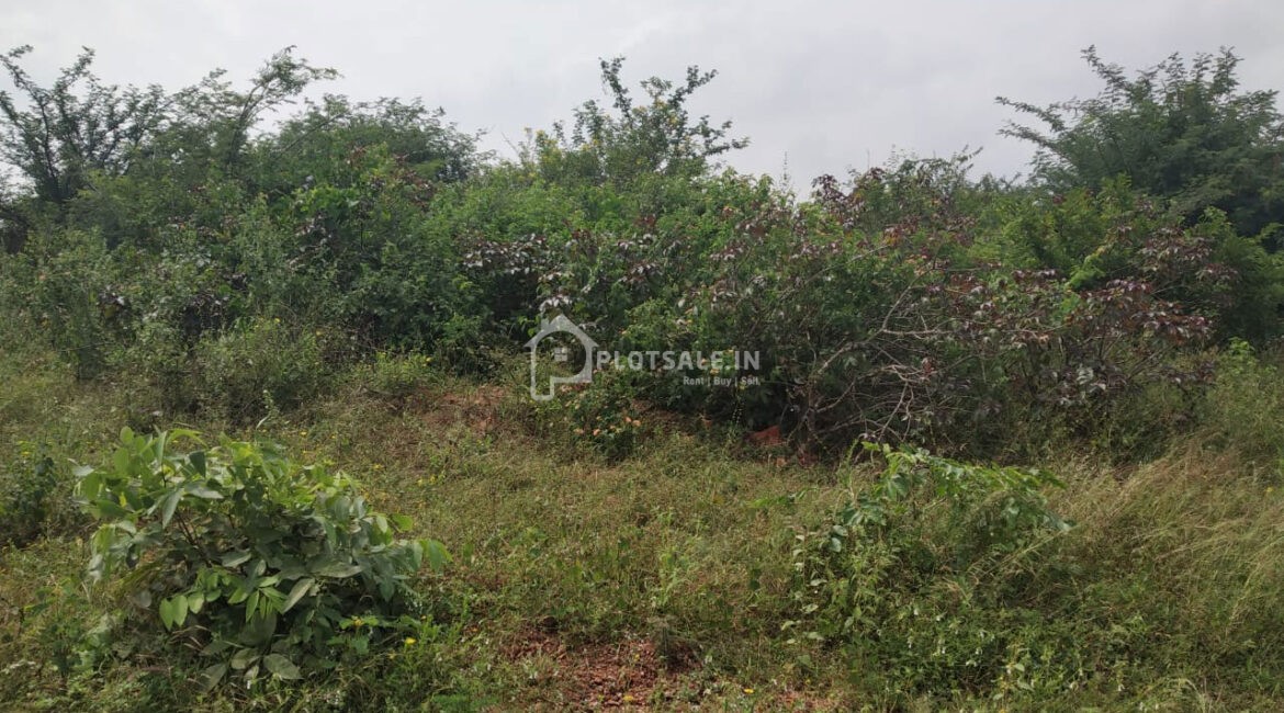 A-N-Nagar-Ramdas-Pally-Ibrahimpatnam-0