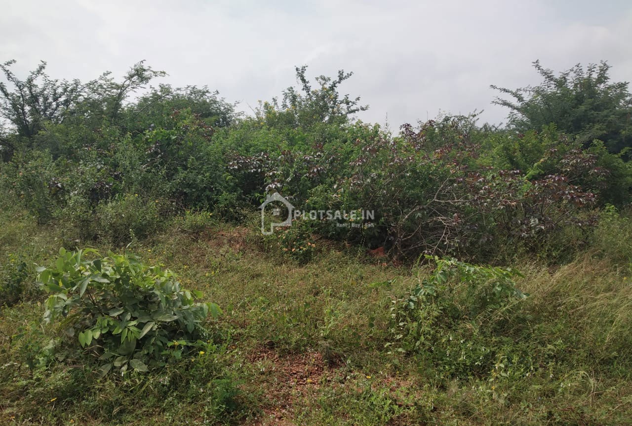 A-N-Nagar-Ramdas-Pally-Ibrahimpatnam-0