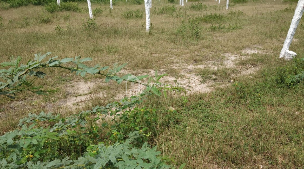 Aditya-Nagar-Phase-3