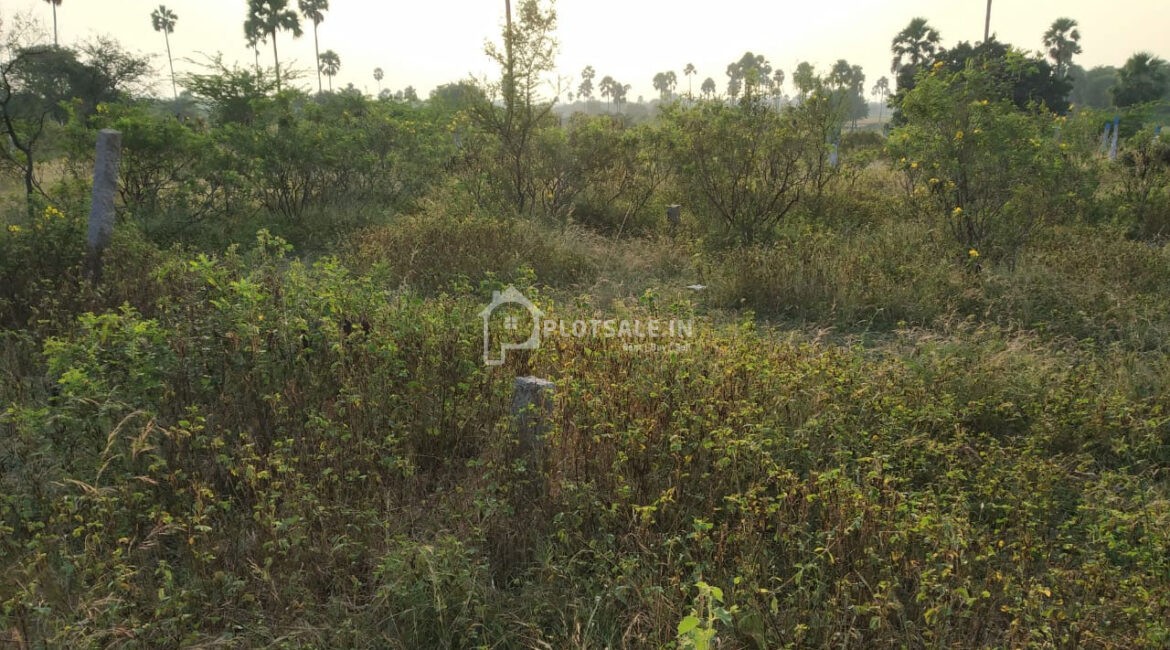 Ganesh-Gardens-Mangalpally-Village-Ibrahimpatnam-4