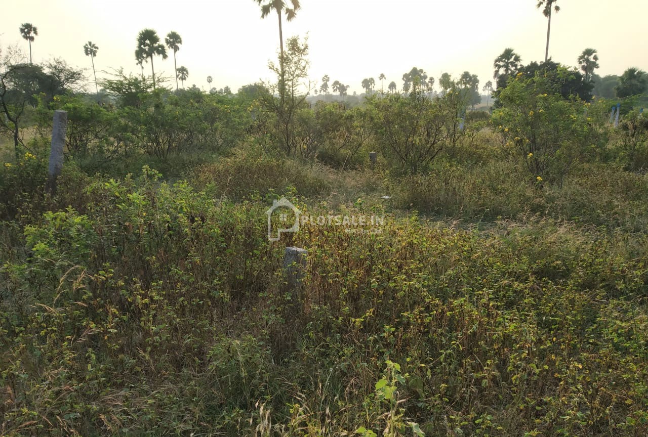 Ganesh-Gardens-Mangalpally-Village-Ibrahimpatnam-4