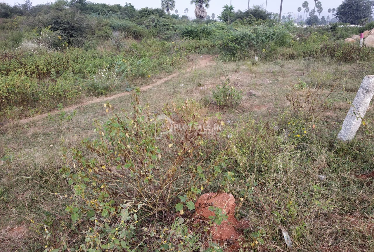 Ganesh-Nagar-Phase-II-Surmayaguda-Road-Abdullapurmet-1-1
