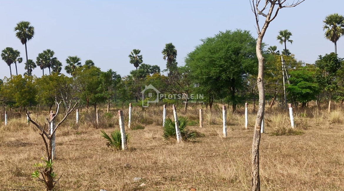 JB-Green-Meadows-Mangalpally-2