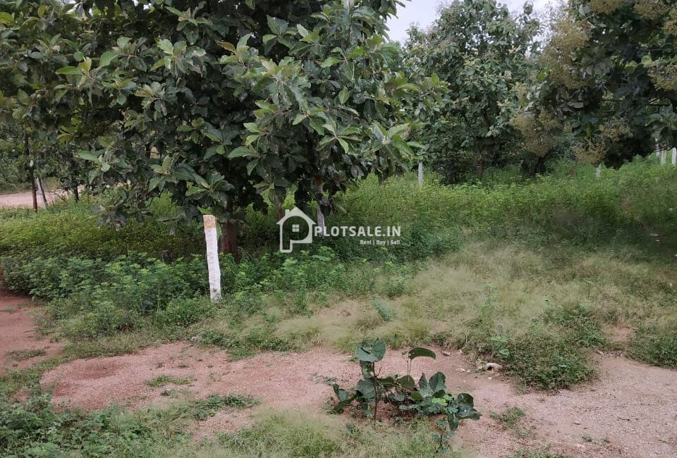 Jai-Suryapatnam-Nadergul-Turkayamjal
