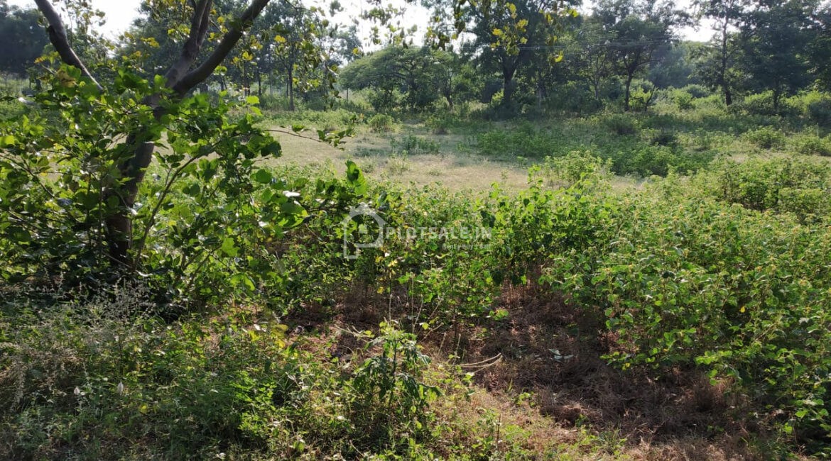 Siri-Township-Manneguda-Turkayamjal