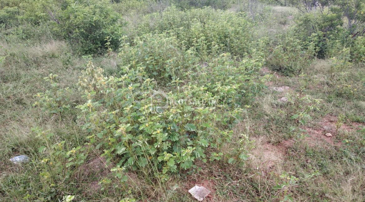 Anjanapuri-Colony-Plots-Munganoor-Injapur-Hayathnagar-Hyderabad