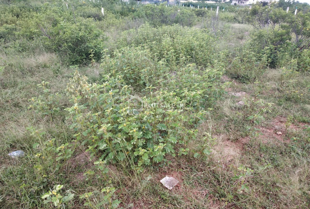 Anjanapuri-Colony-Plots-Munganoor-Injapur-Hayathnagar-Hyderabad