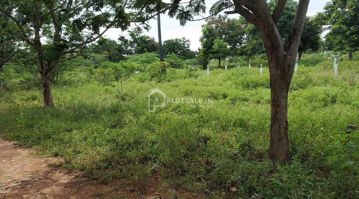 Abhinandana-