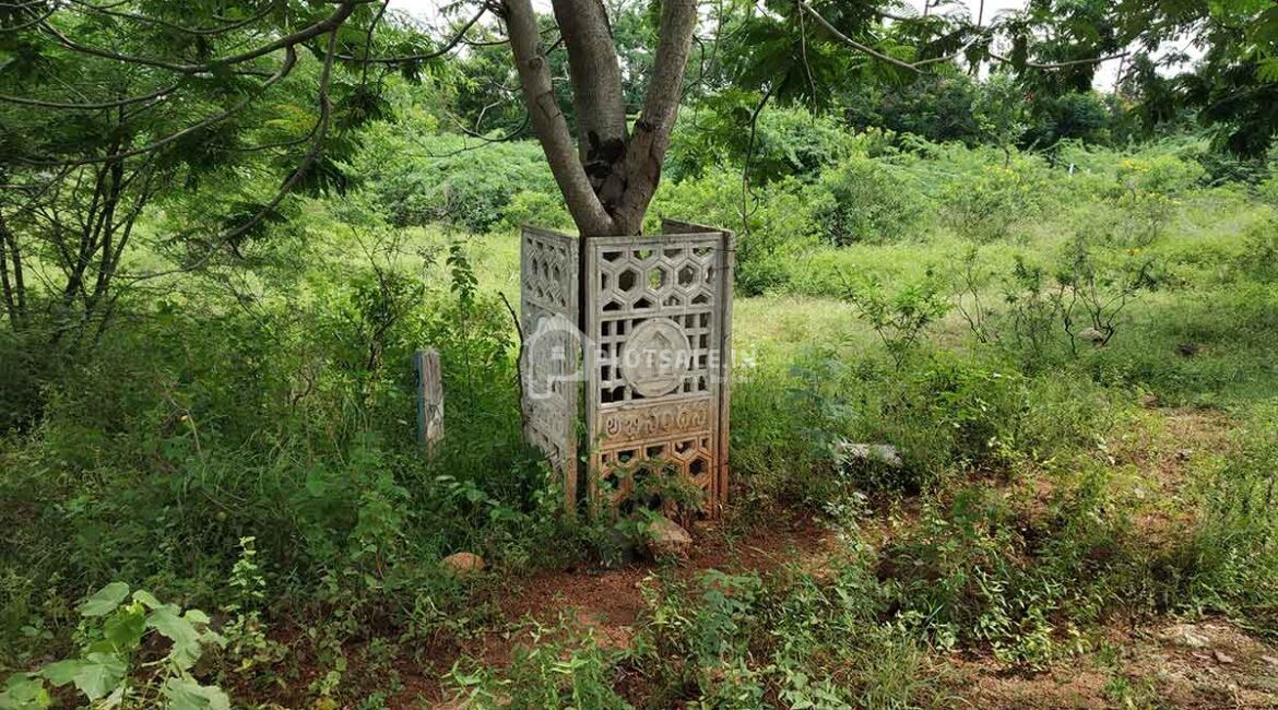 Abhinandana