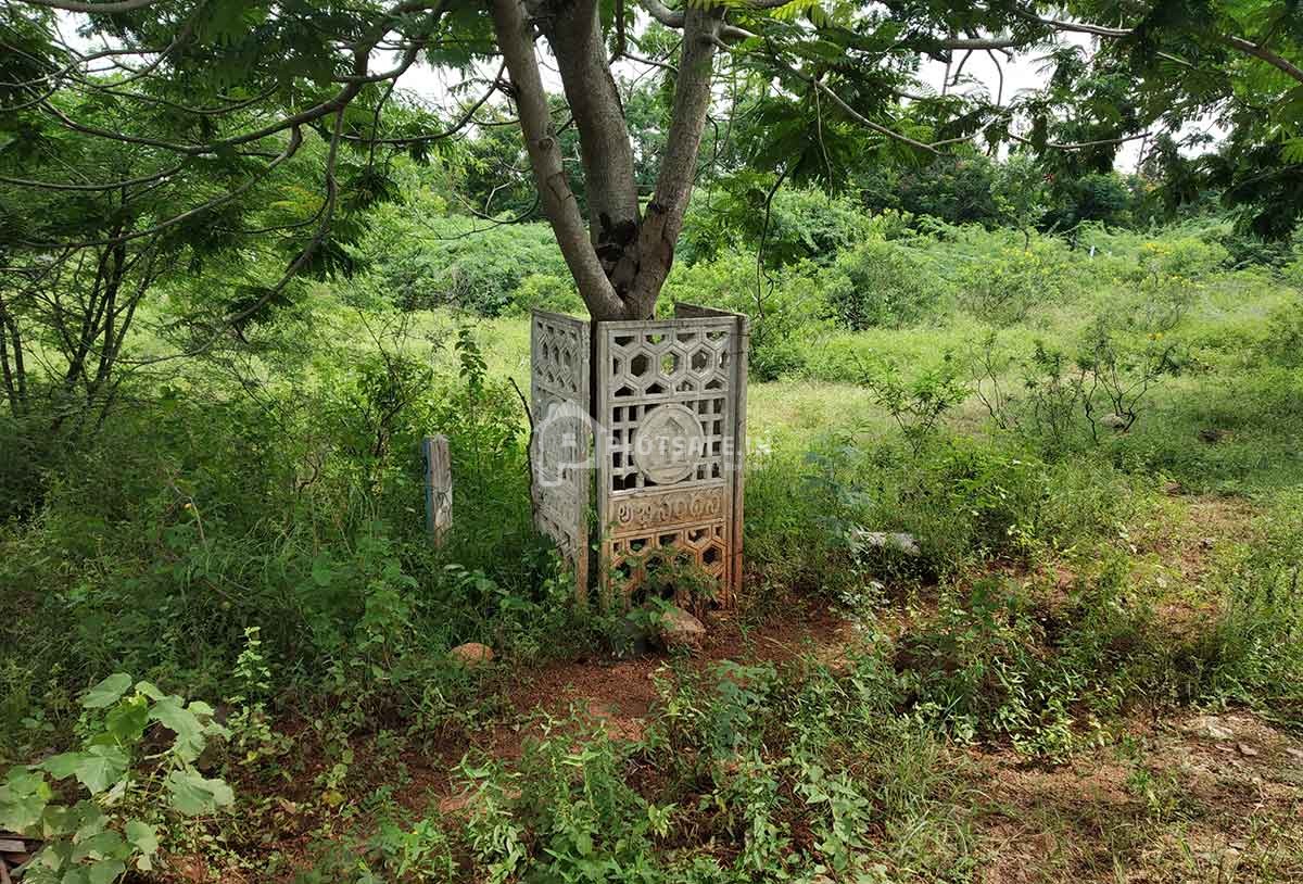 Abhinandana
