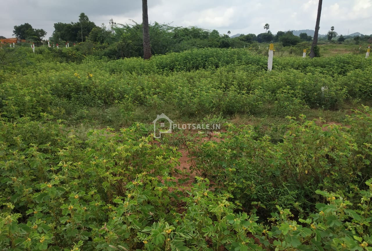 Adi-laxmi-Nagar-AL-Nagar-Adi-Lakshmi-Nagar