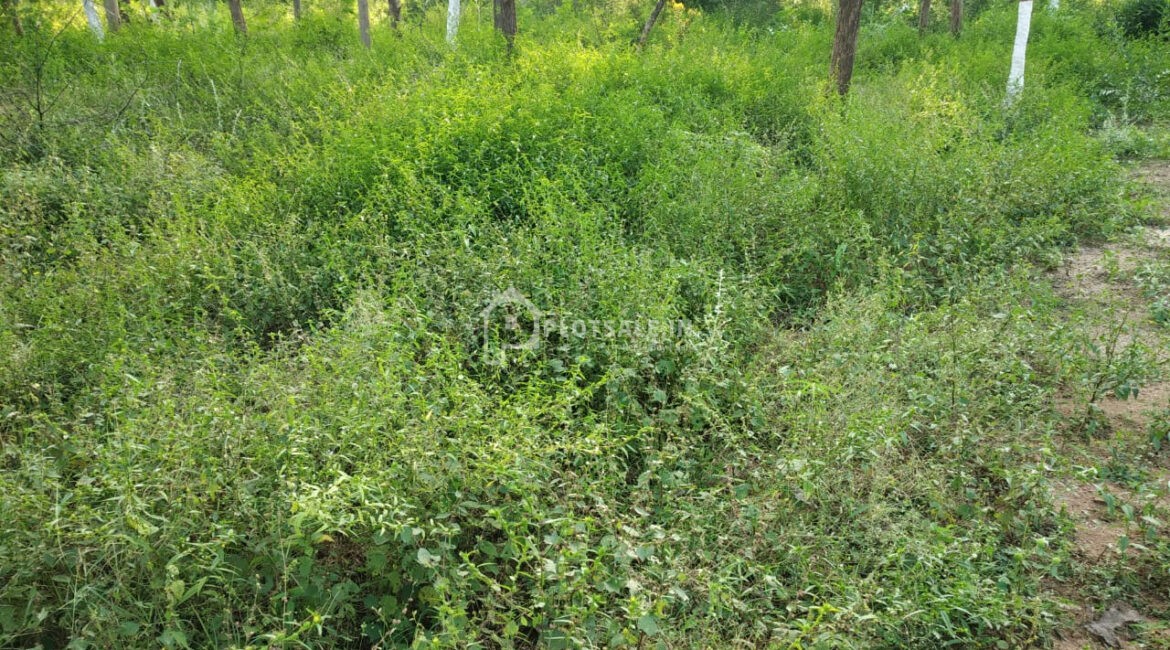 Aishwarya-Enclave-Pink-City-Gowrelly-Road-Taramatipet-9