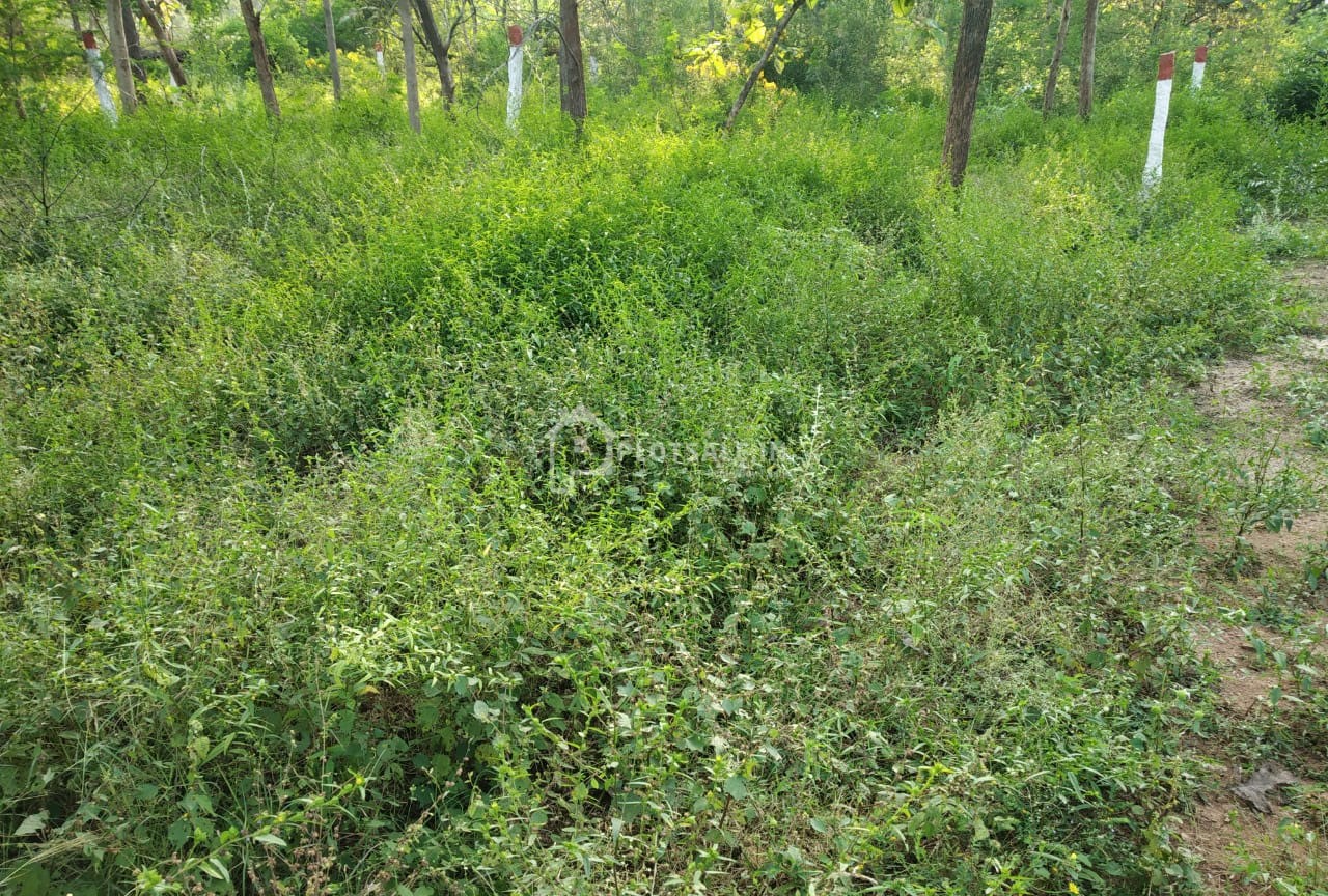 Aishwarya-Enclave-Pink-City-Gowrelly-Road-Taramatipet-9