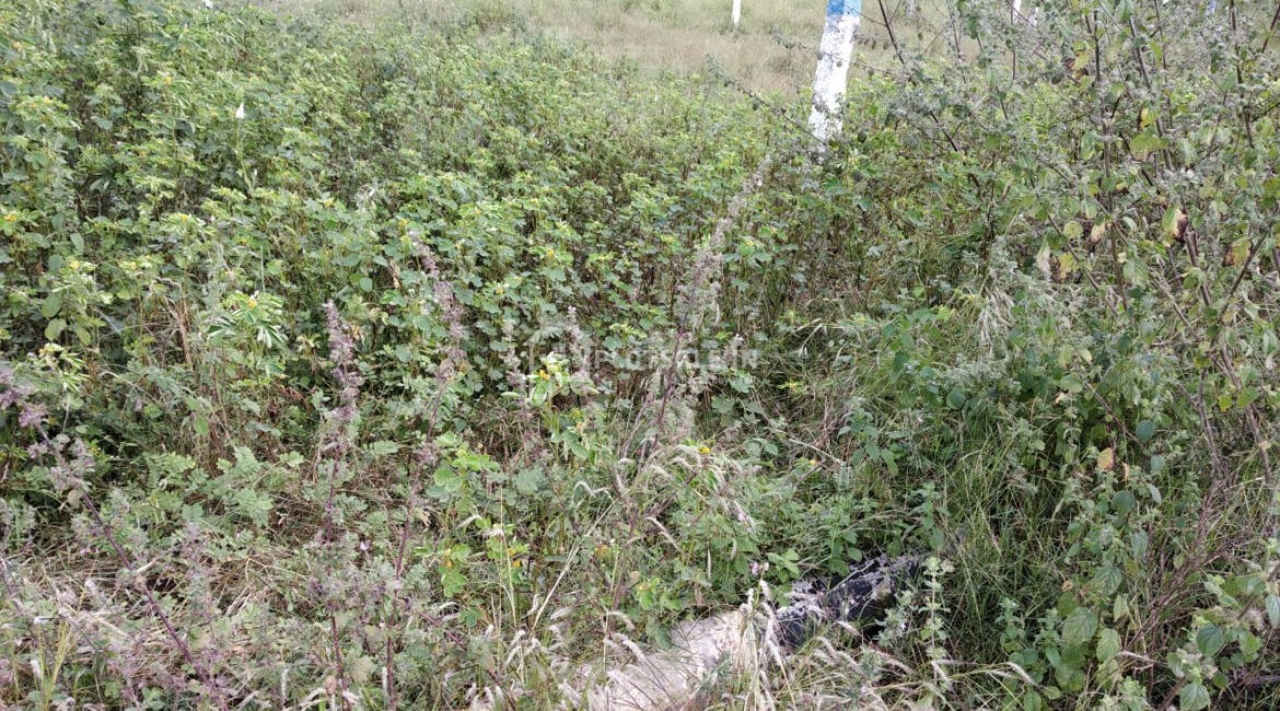 Bhargavi-real-estates-Ganesh-Regency-Park-Plots-Malkapur-Choutuppal-Hyderabad