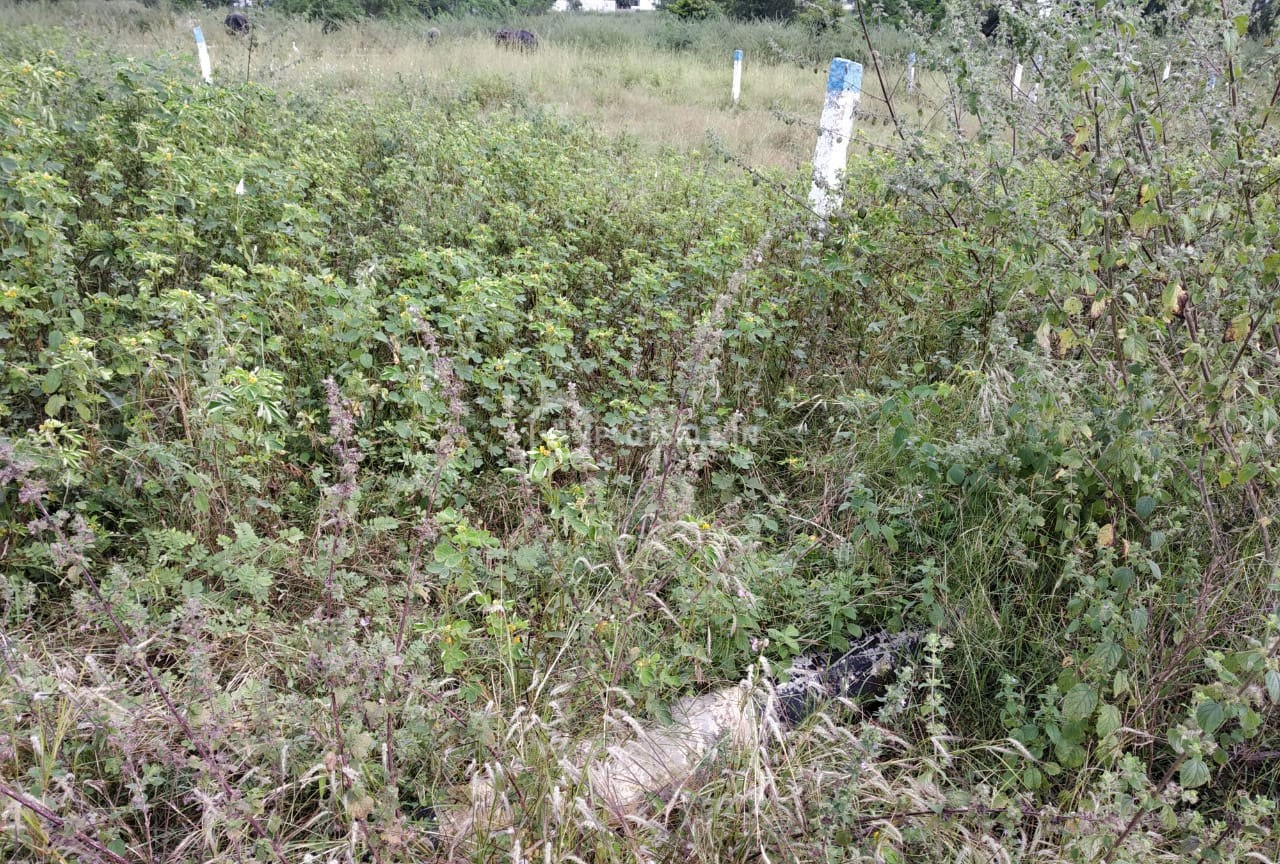 Bhargavi-real-estates-Ganesh-Regency-Park-Plots-Malkapur-Choutuppal-Hyderabad