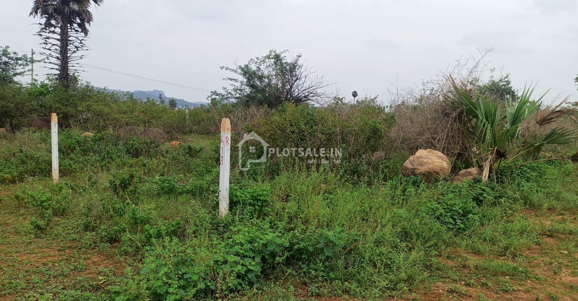 Bhavani-Nagar-Plots-in-Pasmamla-Pedda-Amberpet-in-Rangareddy-Hyderabad