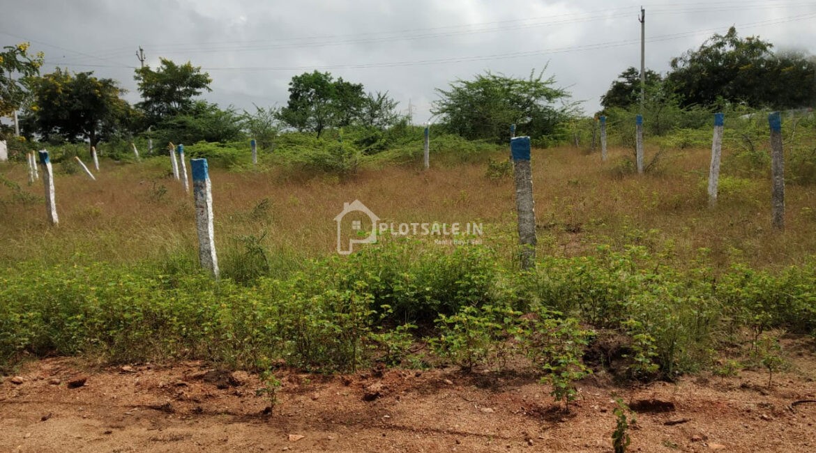 Chalapathi-Nagar-Plots-Mansanpally-Maheswaram-Hyderabad