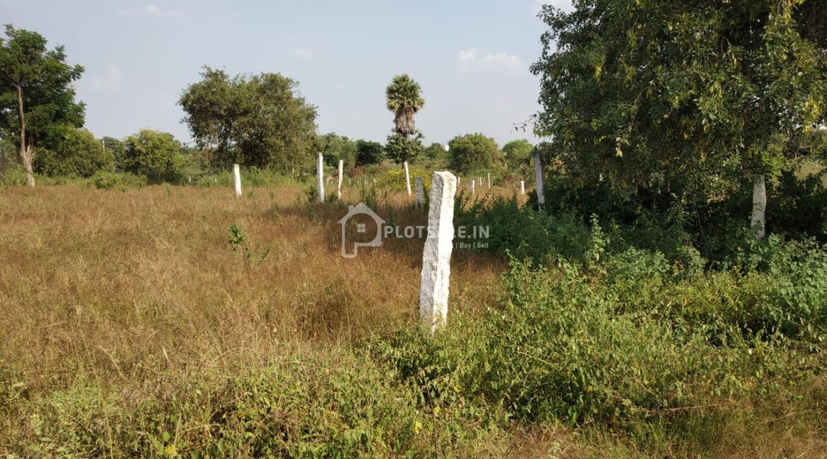 For-Tune-City-Chalapati-Plots-Rachaluru-Rangareddy-Hyderabad