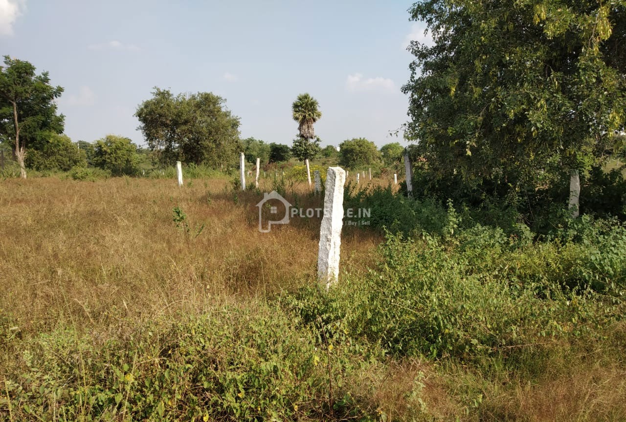 For-Tune-City-Chalapati-Plots-Rachaluru-Rangareddy-Hyderabad