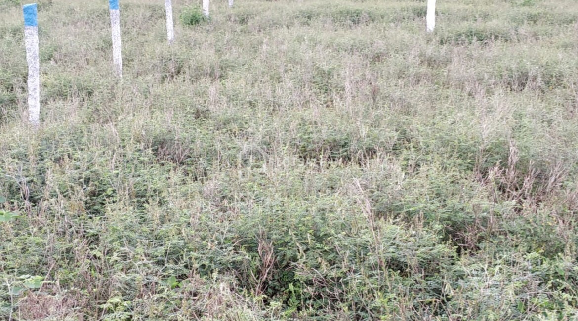 Ganesh-Millennium-City-Plots-Malkapur-village-Vijayawada-Highway-in-Hyderabad