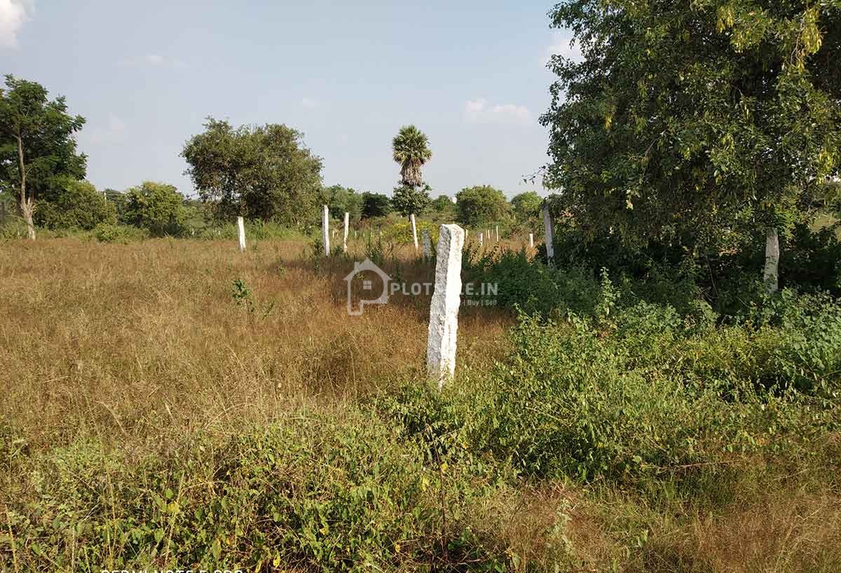 Green-Home-Plots-Buy-Sale-Kalwakole-Kottur