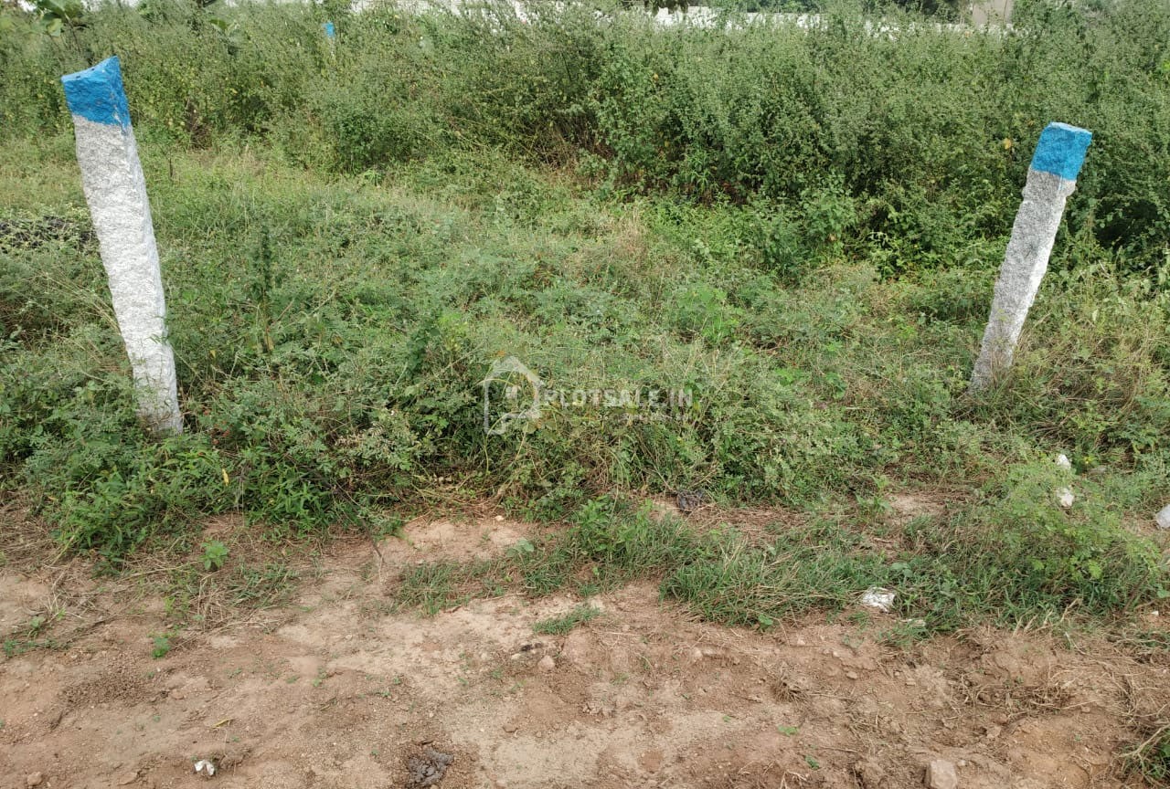 Green-Star-Housing-Estates-Plots-Toopranpet-Village-Hyderabad-Telangana