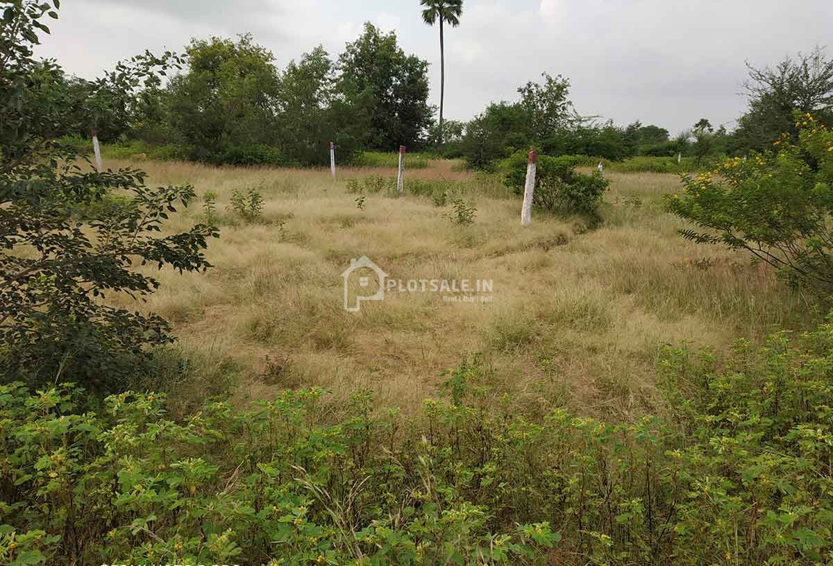 Janachaitanya-Sai-Krupa-1
