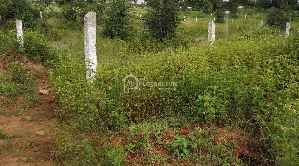 Janachaitanya-Sai-Mayuri-