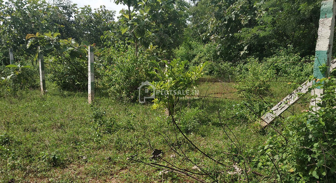 Janaharsha-Dream-City-II-in-Ibrahimpatnam-Hyderabad