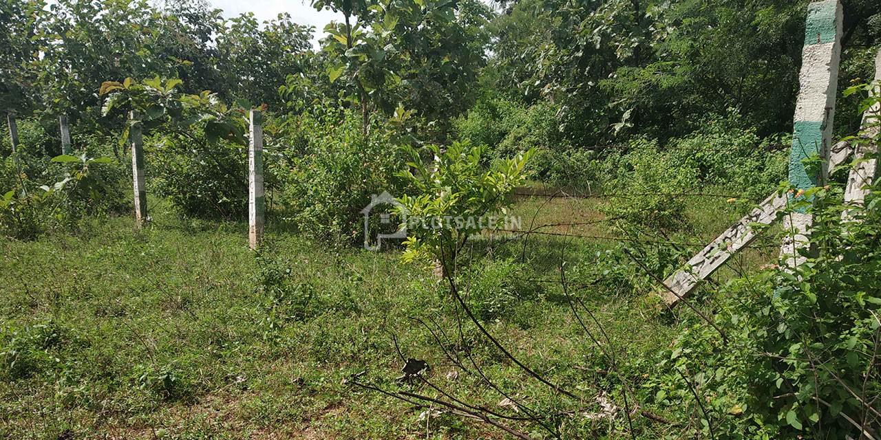 Janaharsha-Dream-City-II-in-Ibrahimpatnam-Hyderabad