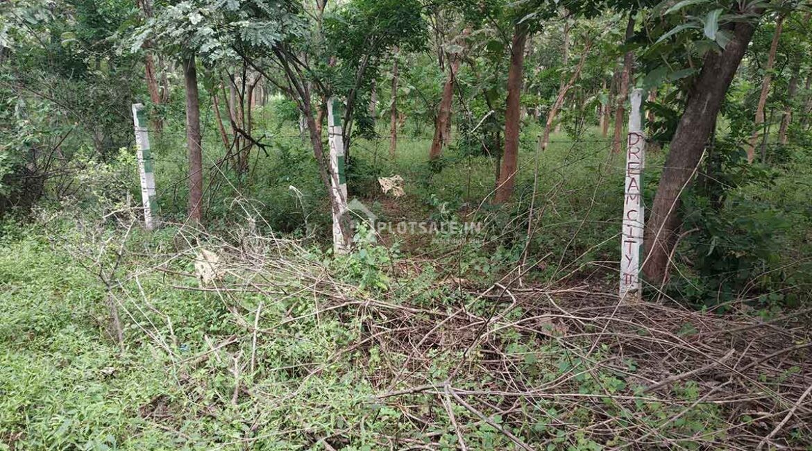 Janaharsha-plot-2