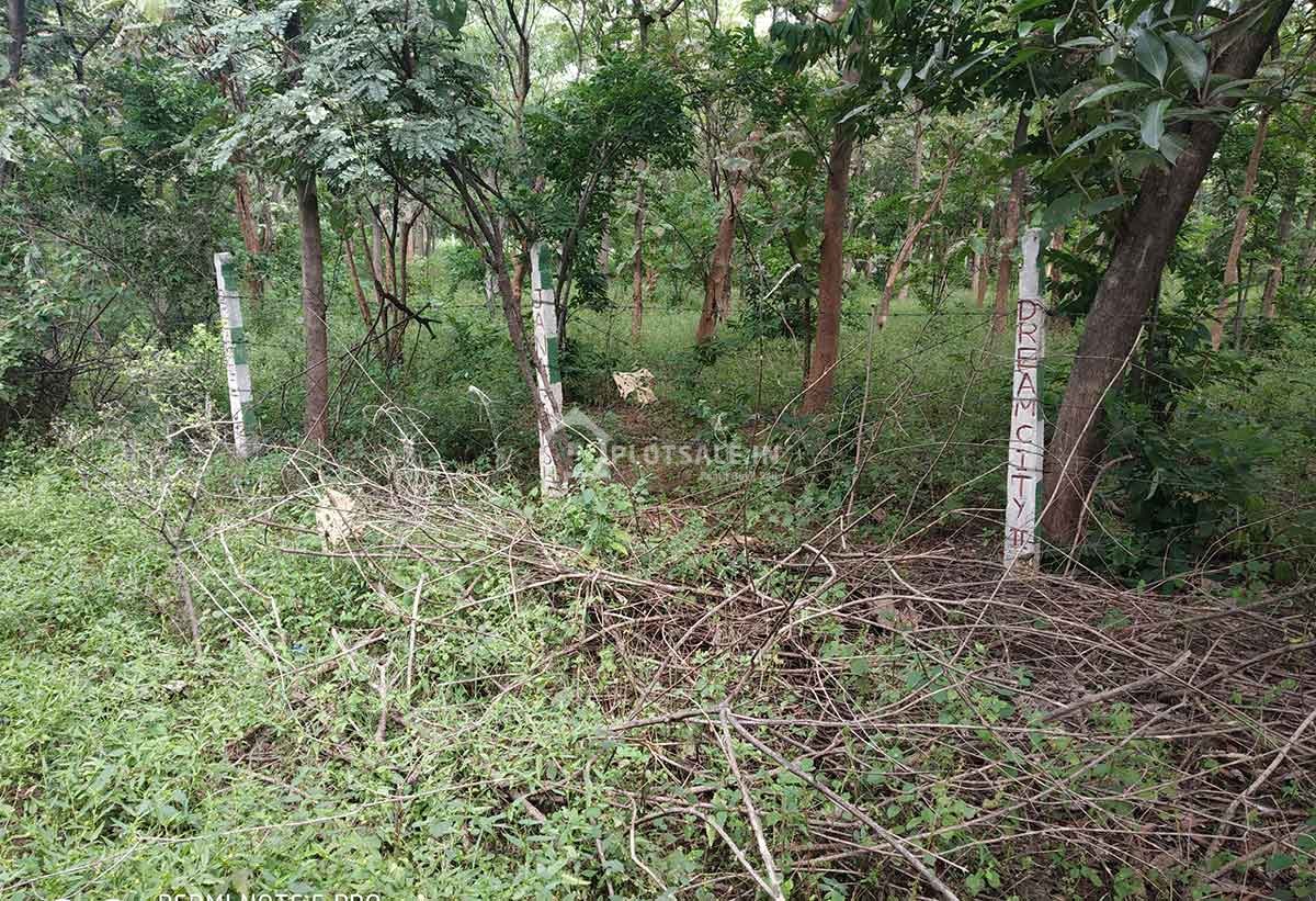Janaharsha-plot-2