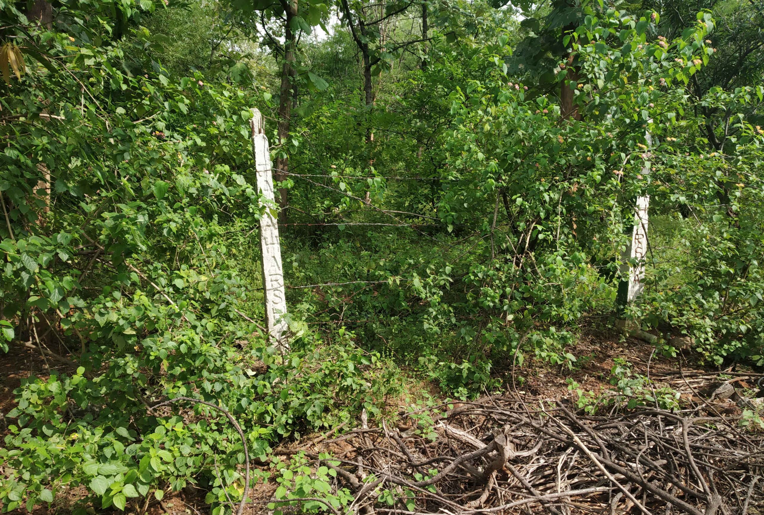 Janaharsha-plot-3