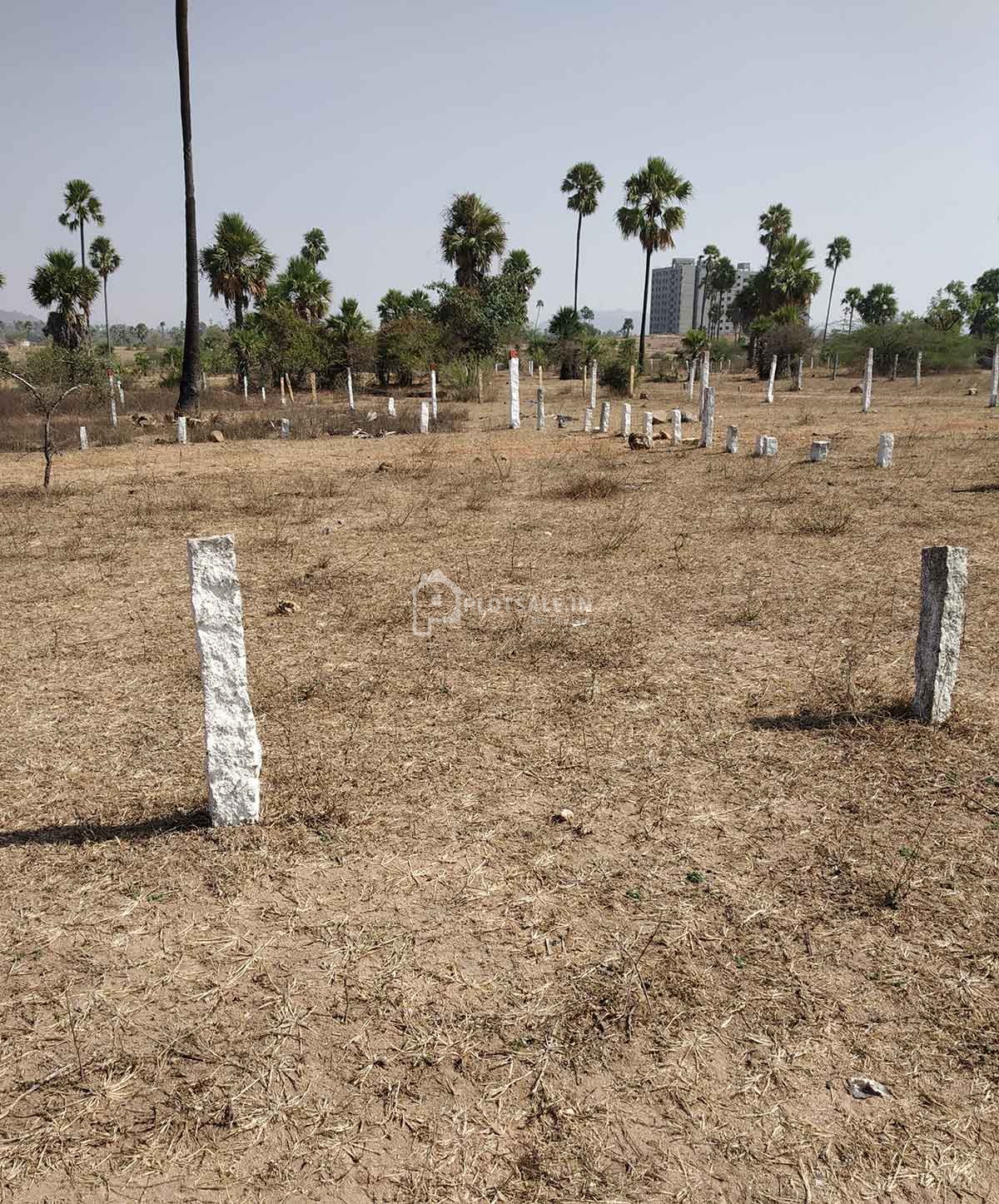 Kalpataru