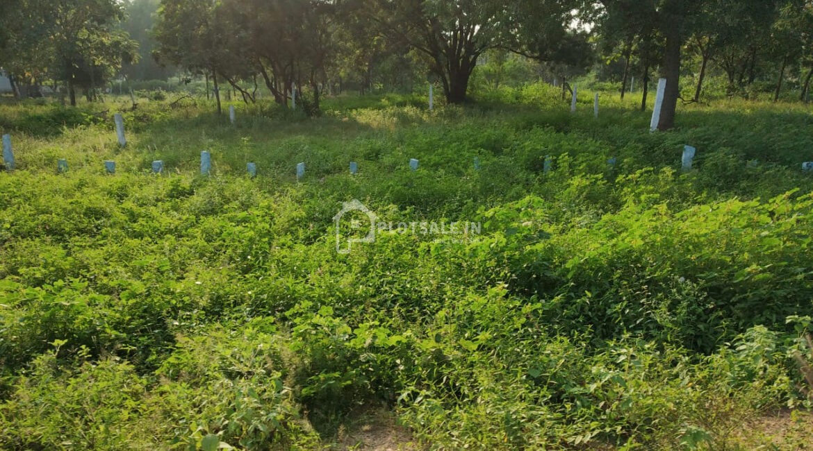 Manarupa-Meadows-Aushapur