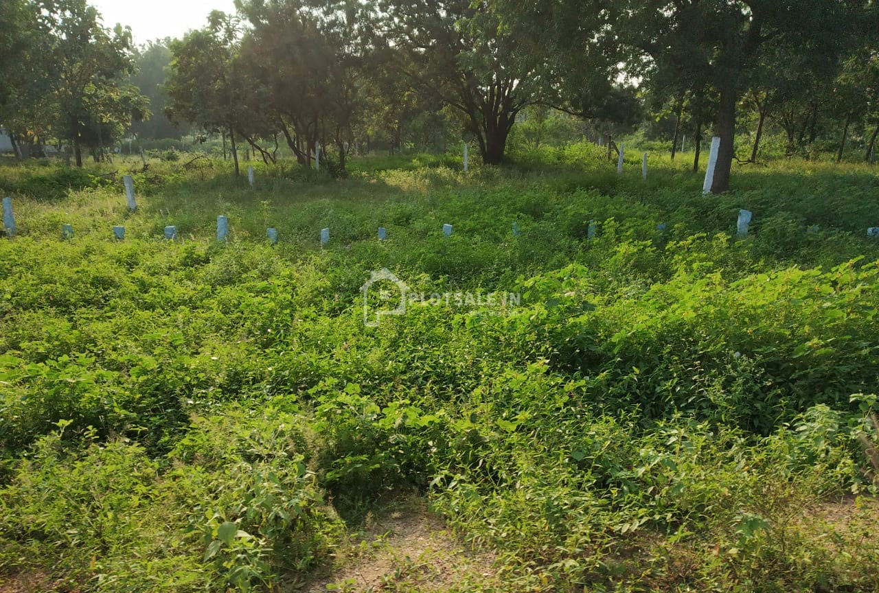 Manarupa-Meadows-Aushapur