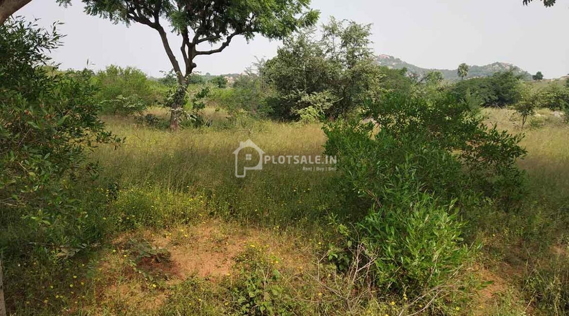 Model-Hills-2