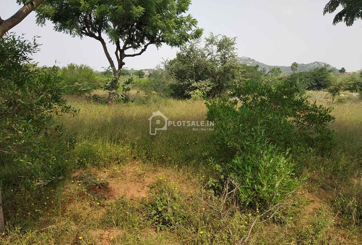 Model-Hills-2