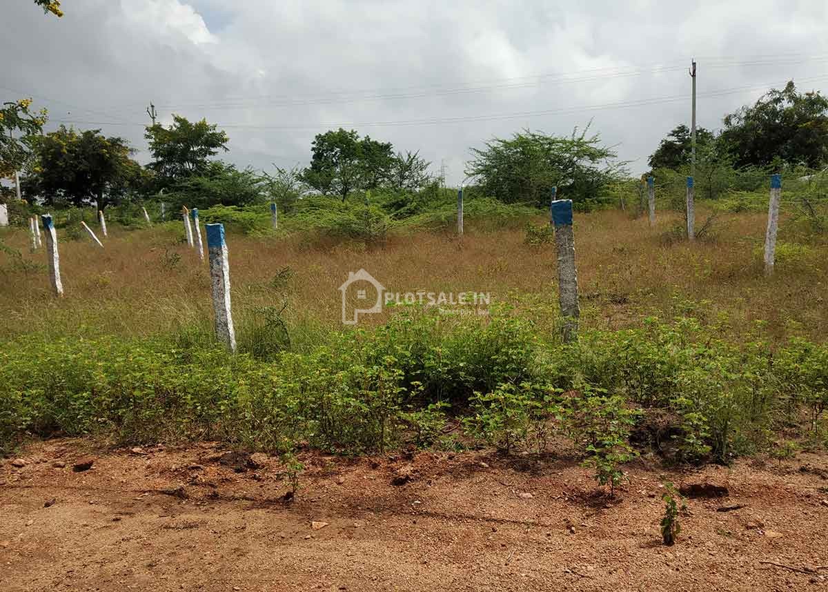 Plot-
