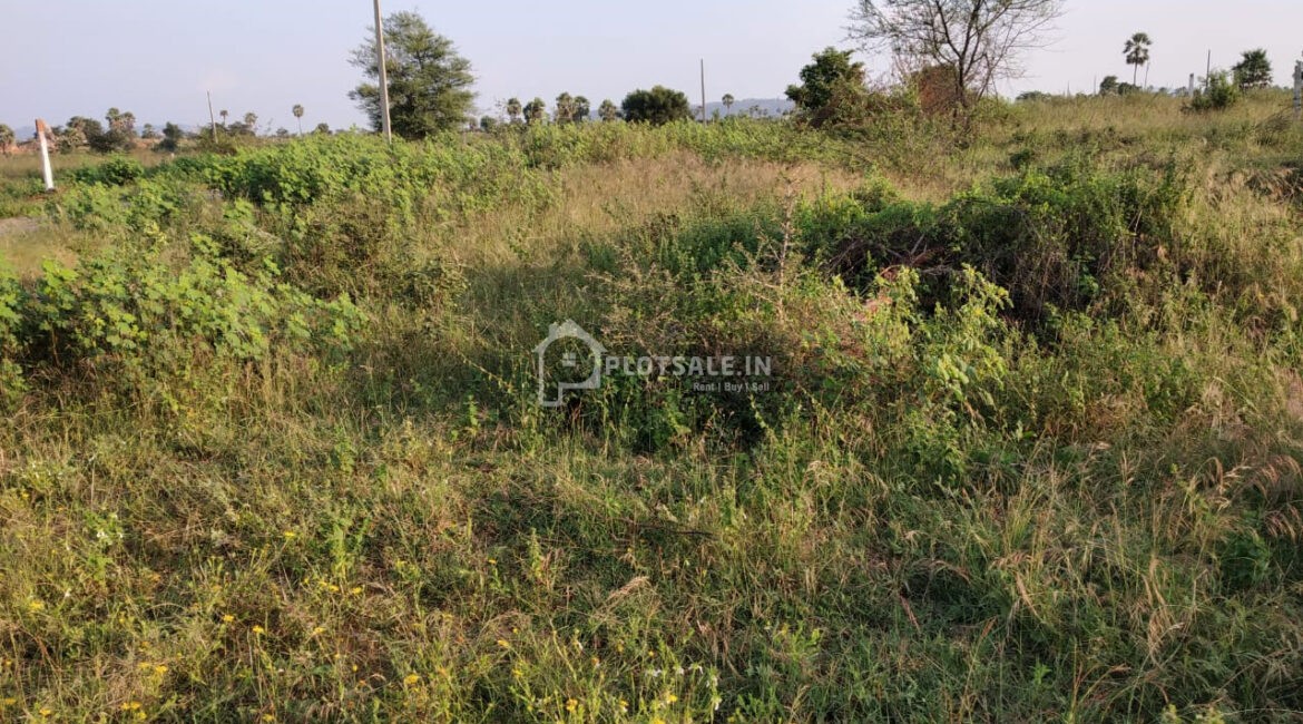 Renuka-Singapore-Valley-Gowrelly-Road-Qutubullapur-2