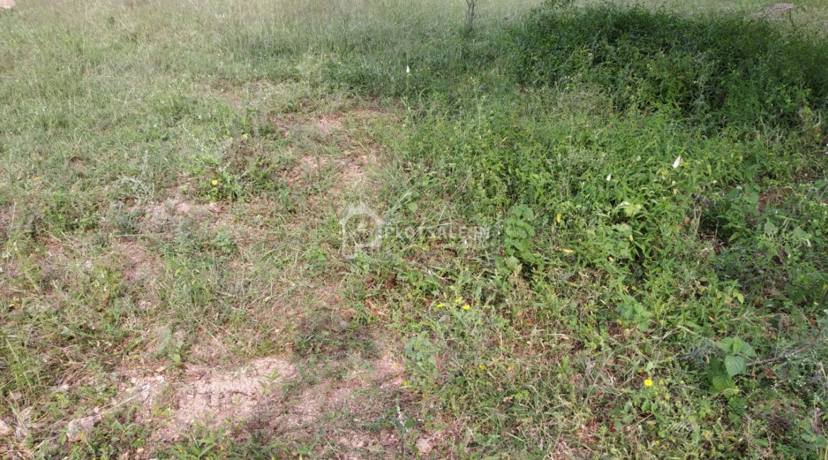 Shiridi-Township-Deshmukhi-Village-Pochampally-Hyderabad-
