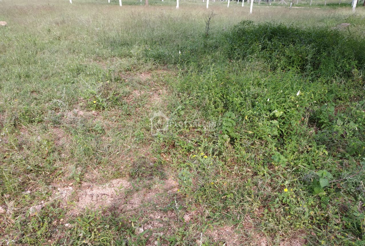 Shiridi-Township-Deshmukhi-Village-Pochampally-Hyderabad-
