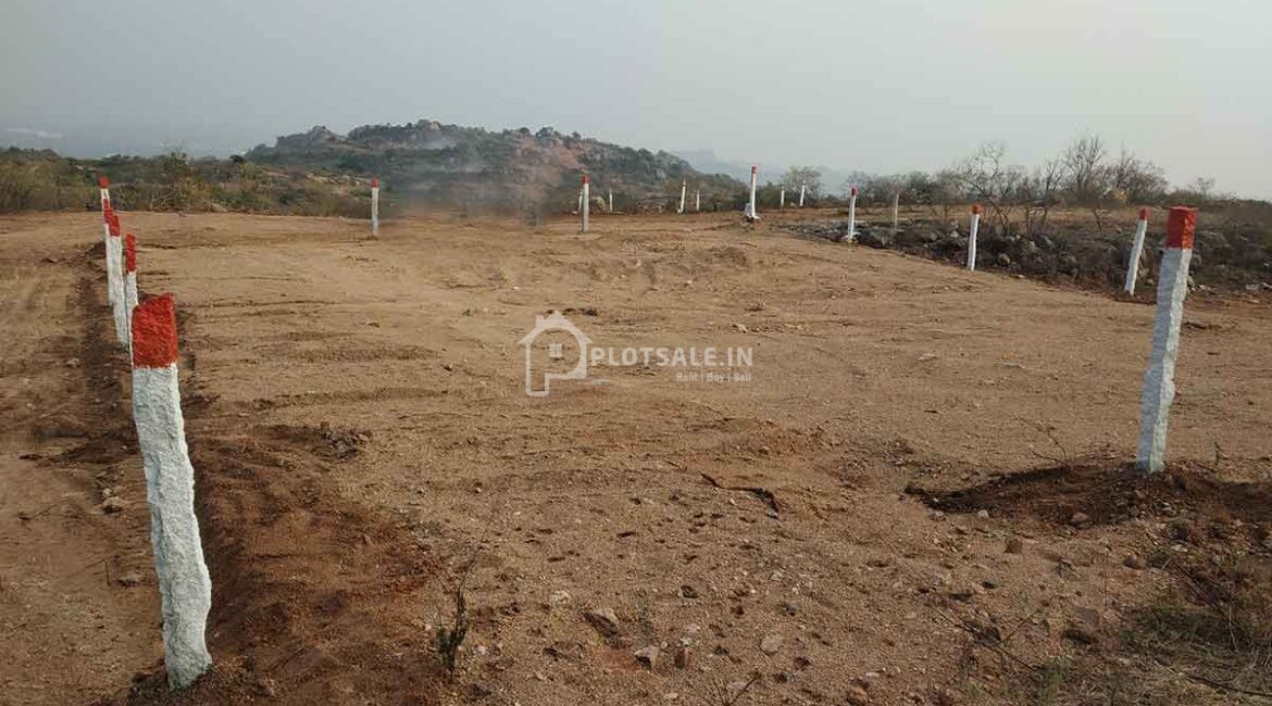 Sreemitra-Mount-Opera-1