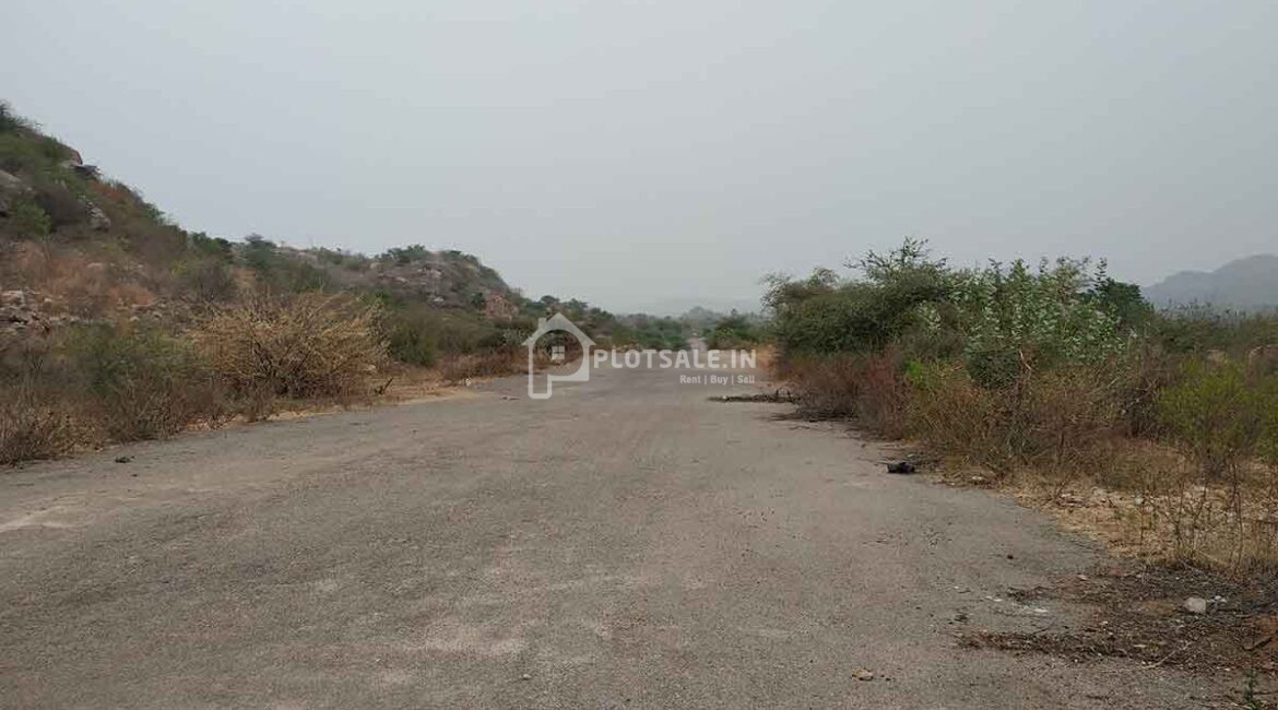 Sreemitra-Paladio-1