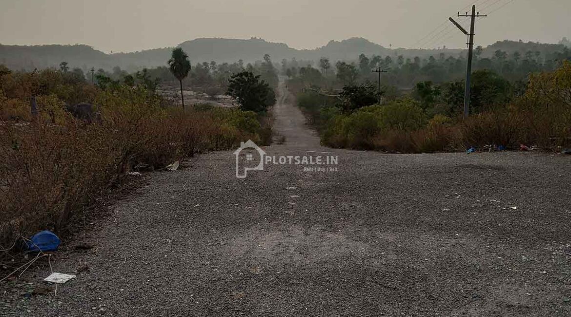 Sreemitra-Vintage-Vally-2