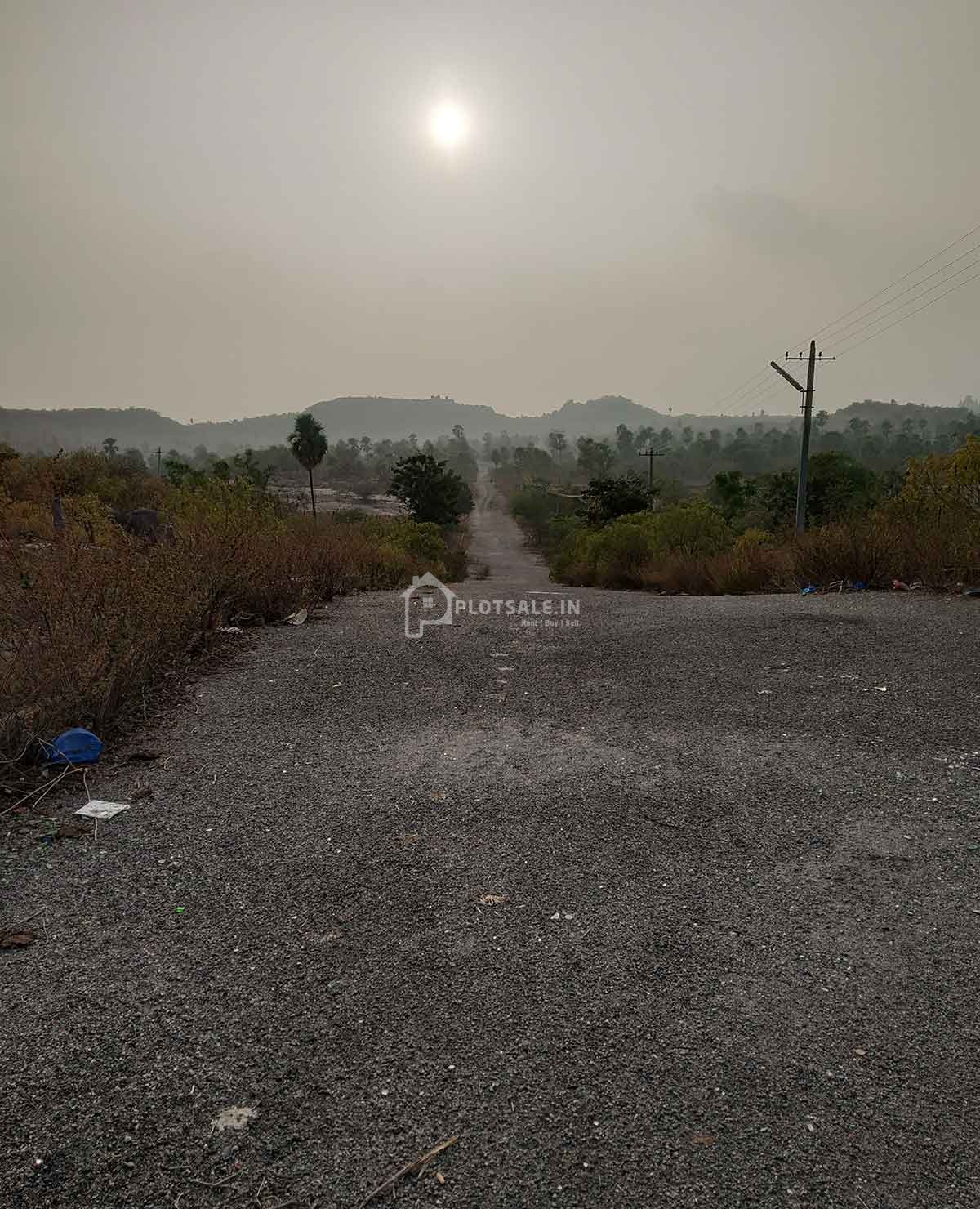 Sreemitra-Vintage-Vally-2