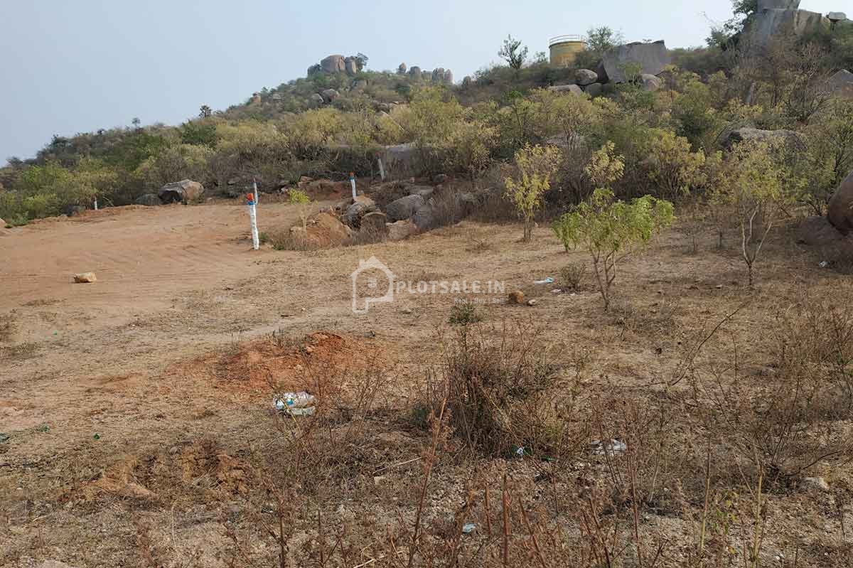 Sreemitra-Vintage-vally