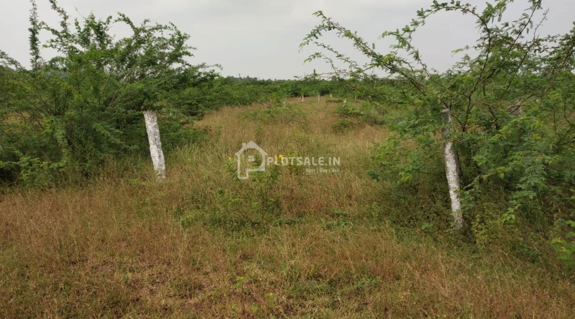 Sri-Mayuri-Nagar-Batasingaram-Plots-Batasingaram-in-Hyderabad