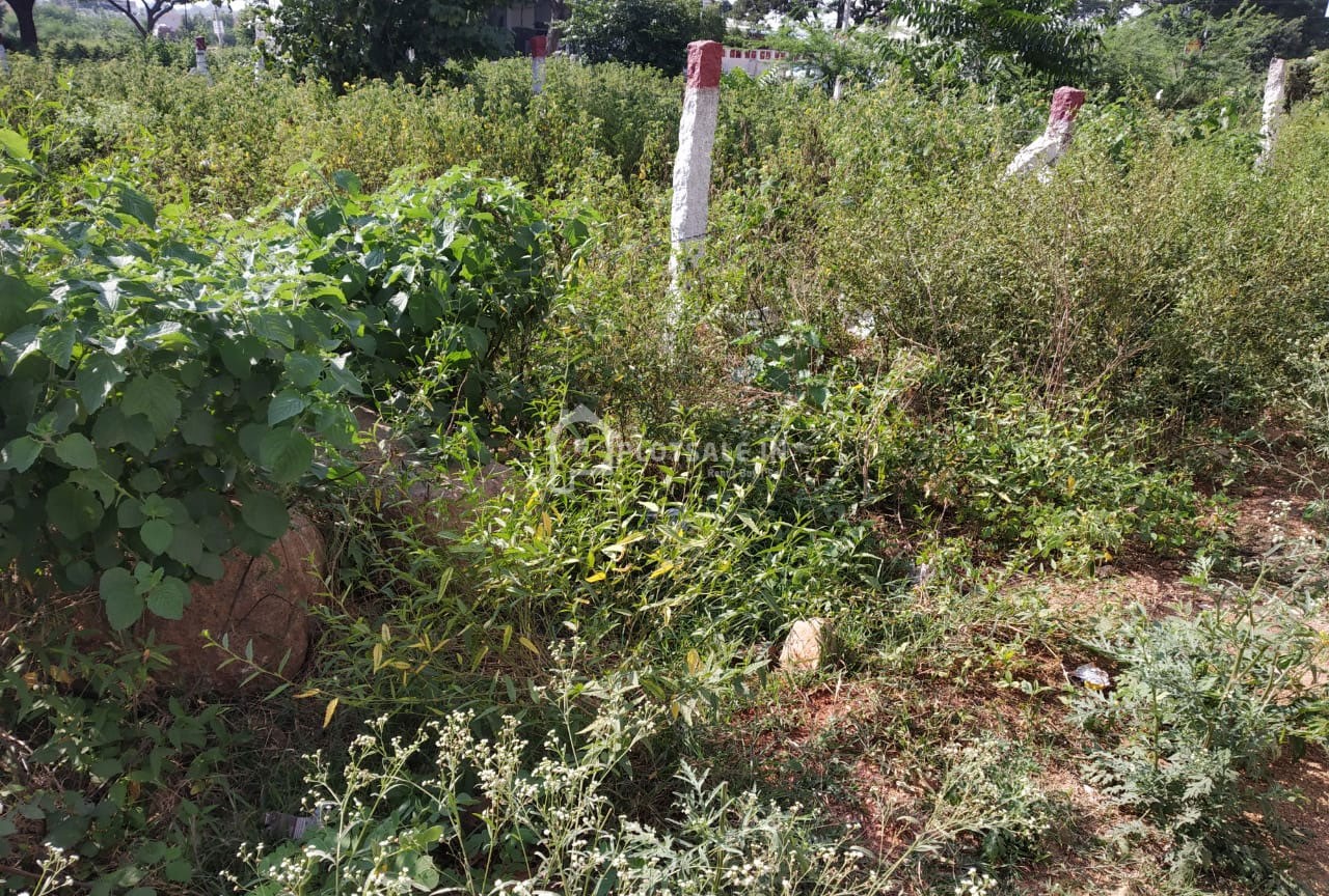 Surya-Sai-Nagar-Turkayamjal